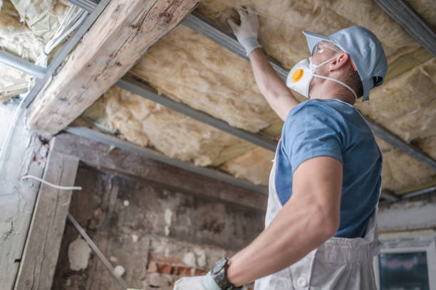 Best Insulation Installation Services in Kapaau, HI